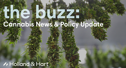 the buzz: Cannabis News & Policy Update | October 2024