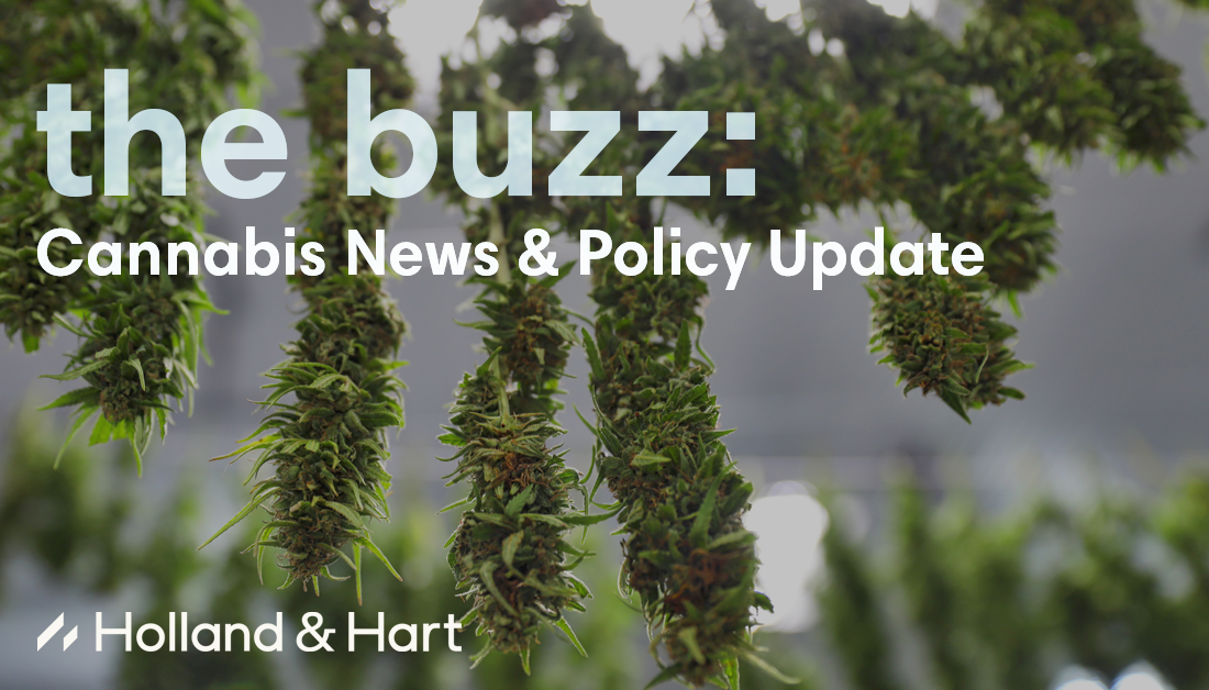 the buzz - July Edition